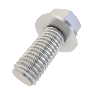 Bolt