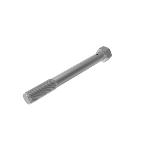 Bolt