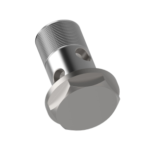 Hollow Screw