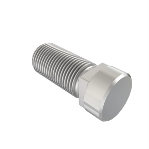 Bolt