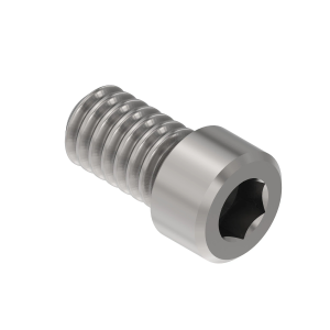 Bolt