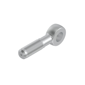 N240921: Eyebolt