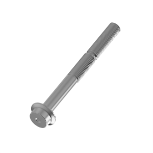 N313519: Bolt, M20 X 80