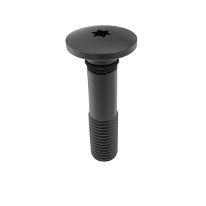 Bolt