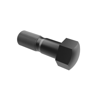 Track Bolt