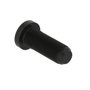 Wheel Bolt