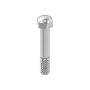 Master Track Bolt