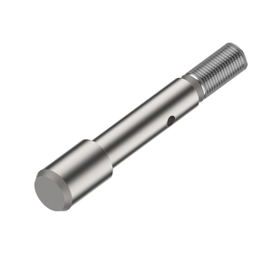 Image of Z71981