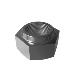 Lock Nut