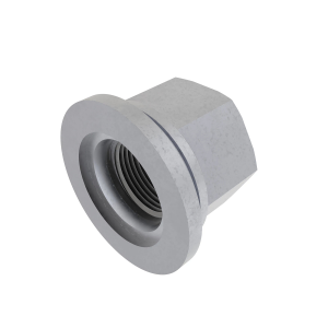 R10063: Hexagonal Crown Nut, 7/8"